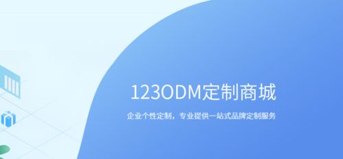 123odm定制商城 互联网 产品品牌定制 b2b跨境电商平台 罗马仕